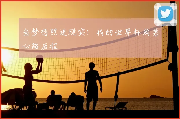 当梦想照进现实:我的世界杯购票心路历程
