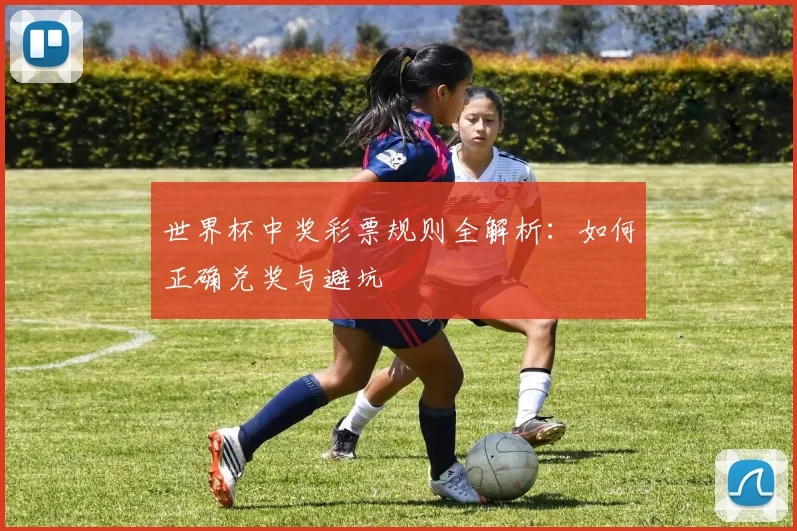 世界杯中奖彩票规则全解析：如何正确兑奖与避坑