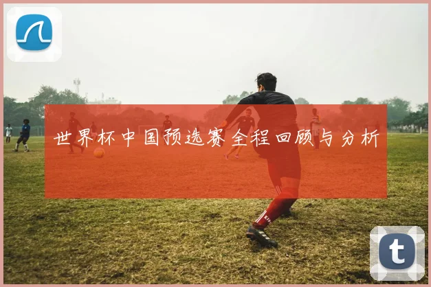 世界杯中国预选赛全程回顾与分析