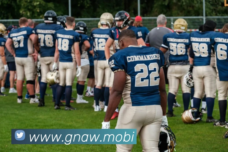 App Interface Preview