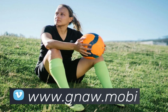 必一运动体育官网APP 封面图